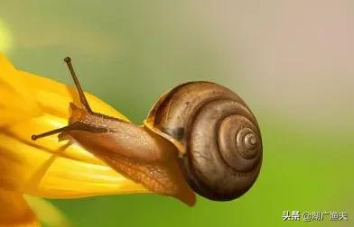 W020211109357681685047.png W020211109357681685047.png